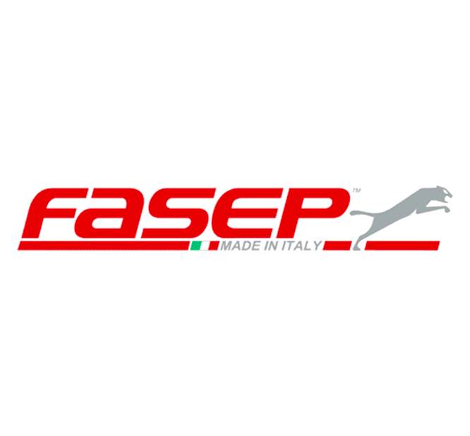 FASEP-logo